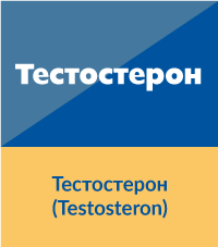 Тестостерон (Testosteron)
